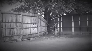 436 naked porn videos